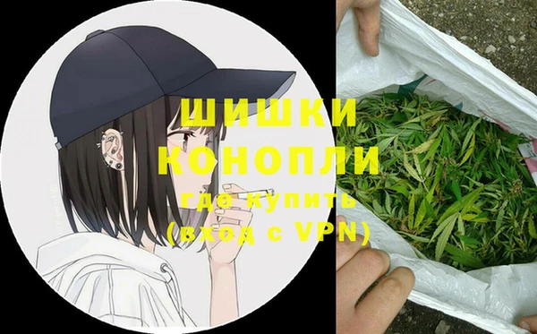 PSILOCYBIN Ельня
