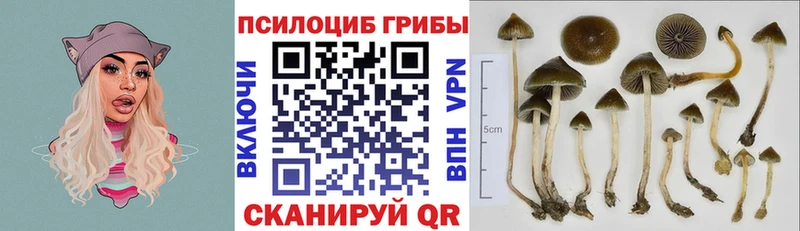 Галлюциногенные грибы GOLDEN TEACHER Болгар