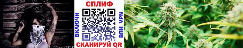 Каннабис семена Болгар